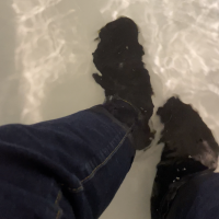 Wetlook Andreas